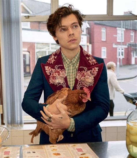 harry styles gucci men's tailoring campaign|Harry Styles Gucci model.